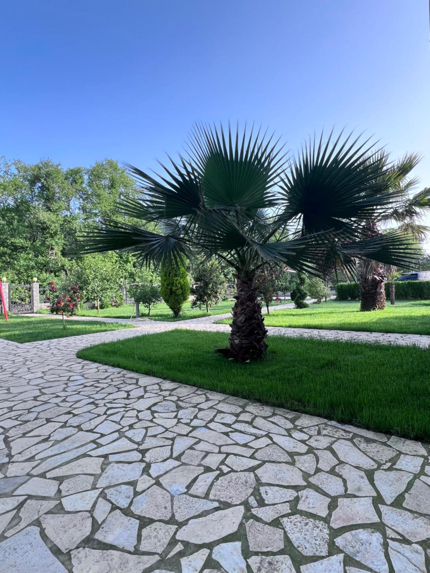 Residence Leora Ulcinj Bagian luar foto